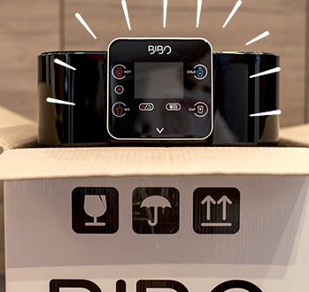 How does BIBO work?